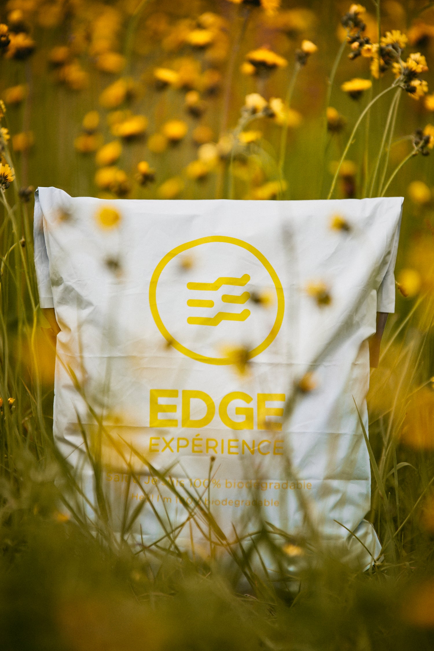 Sacs biodégradables fabriqués à base de maïs, se décomposant naturellement en compost en quelques semaines, une alternative écologique au plastique.